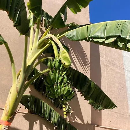 Junqueira Gardens - Casa Antiga Jardim E Piscina Lisboa