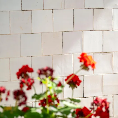 Junqueira Gardens - Casa Antiga Jardim E Piscina Вилла Лиссабон